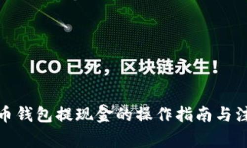 : 虚拟币钱包提现金的操作指南与注意事项