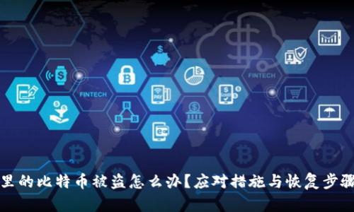 钱包里的比特币被盗怎么办？应对措施与恢复步骤详解