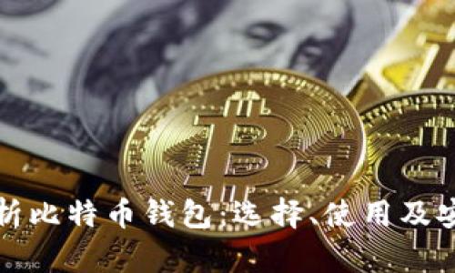 全面解析比特币钱包:选择、使用及安全指南