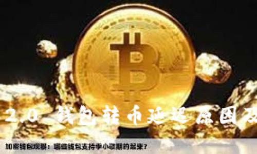 Tokenim 2.0 钱包转币延迟原因及解决方案
