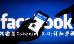 安卓手机如何安装Tokenim 2.0：详细步骤与注意事项