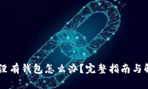 : USDT没有钱包怎么办?完整指南与解决方案