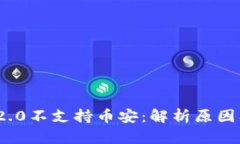 TokenIM 2.0不支持币安：解析原因及未来展望