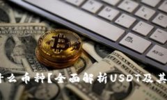 USDT钱包是什么币种？全面解析USDT及其钱包使用技