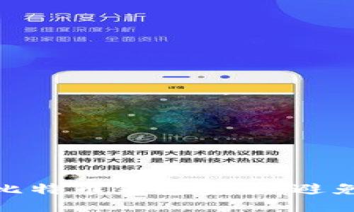 如何保护比特币钱包安全,避免被盗风险