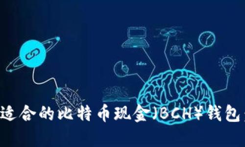 如何选择适合的比特币现金(BCH)钱包:全面指南