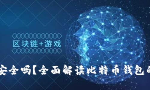 自己的比特币钱包安全吗?全面解读比特币钱包的安全性与防护措施