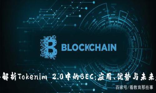 深入解析Tokenim 2.0中的BEC：应用、优势与未来趋势