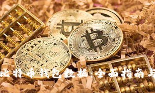 如何更新比特币钱包数据：全面指南与实用技巧
