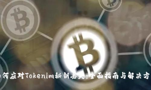 如何应对Tokenim秘钥丢失：全面指南与解决方案