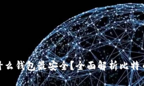 储存比特币用什么钱包最安全？全面解析比特币钱包的安全性