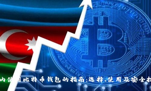 国内使用比特币钱包的指南：选择、使用及安全技巧