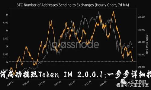 如何成功提现Token IM 2.0.0.1:一步步详细指南