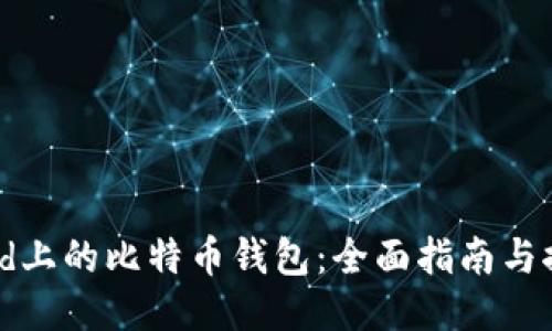 iPad上的比特币钱包:全面指南与推荐