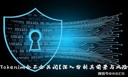 Tokenim会不会关闭?深入分析其前景与风险