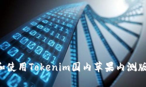 如何获取和使用Tokenim国内苹果内测版:全面指南