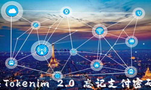 
如何解决Tokenim 2.0 忘记支付密码的问题？