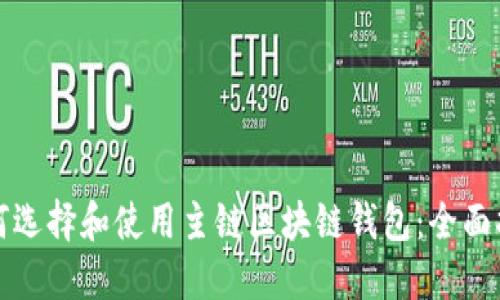 如何选择和使用主链区块链钱包：全面指南