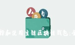 如何选择和使用主链区块链钱包：全面指南