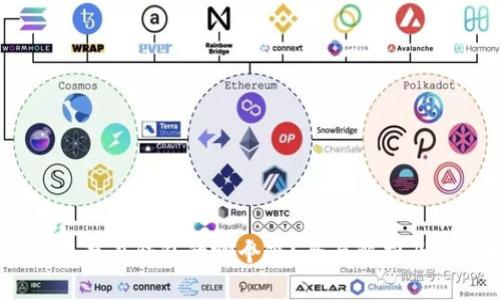 USDT应该存在钱包的哪个链？全面解析及选择指南