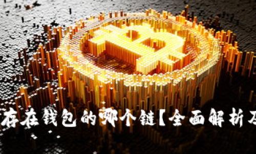 USDT应该存在钱包的哪个链？全面解析及选择指南