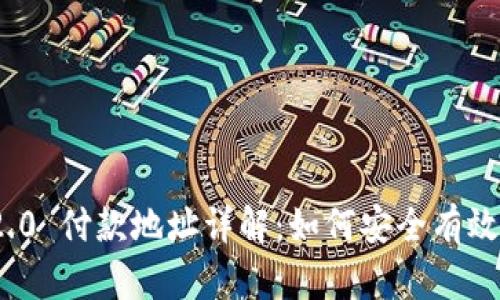 Tokenim 2.0 付款地址详解：如何安全有效地进行交易