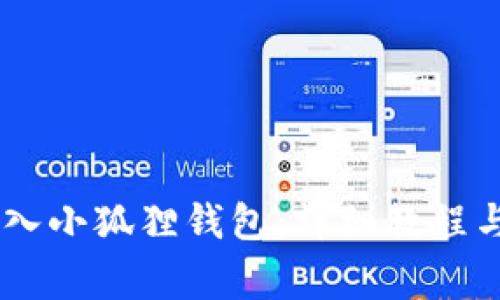如何将USDT转入小狐狸钱包：详细教程与常见问题解答