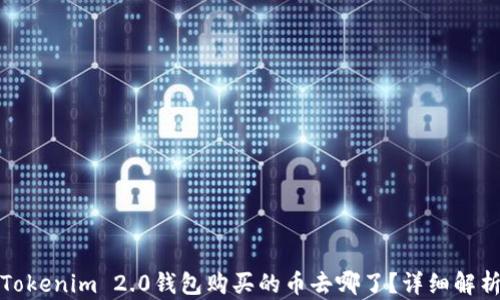 
Tokenim 2.0钱包购买的币去哪了？详细解析