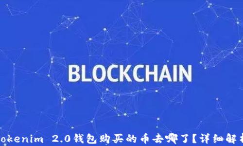 
Tokenim 2.0钱包购买的币去哪了？详细解析