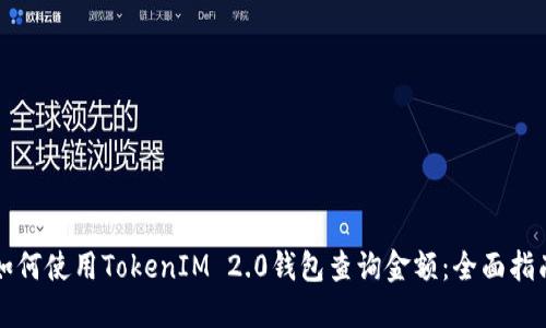 如何使用TokenIM 2.0钱包查询金额：全面指南
