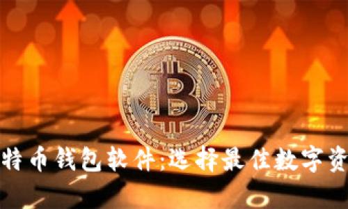 全面解析比特币钱包软件：选择最佳数字资产管理工具