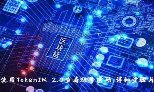 如何使用TokenIM 2.0查看账号密码:详细步骤与技巧