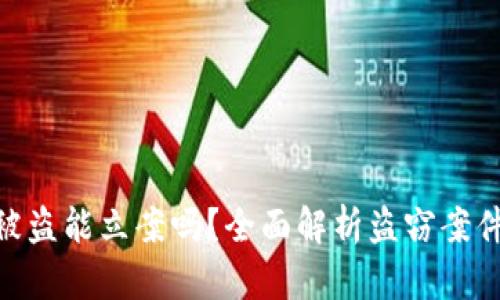 Tokenim 2.0被盗能立案吗？全面解析盗窃案件与区块链安全