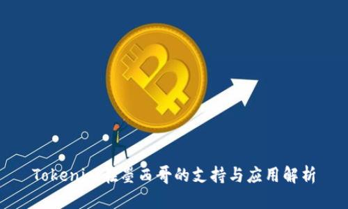 Tokenim在墨西哥的支持与应用解析