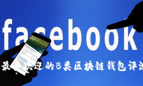 2023年最受欢迎的B类区块链钱包评测及推荐