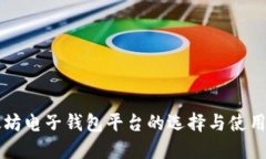 以太坊电子钱包平台的选择与使用指南