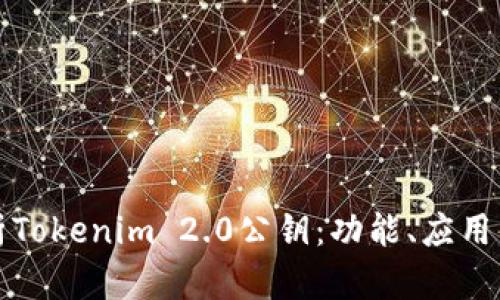 深入解析Tokenim 2.0公钥:功能、应用与安全性
