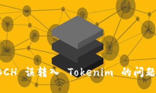 如何处理 BCH 误转入 Tokenim 的问题及解决方案
