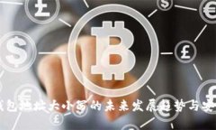 区块链钱包地址大小写的未来发展趋势