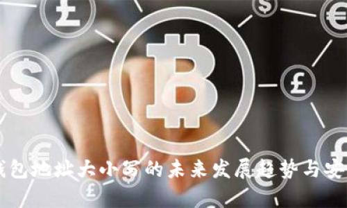 区块链钱包地址大小写的未来发展趋势与安全性解析