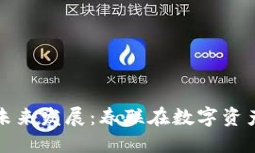 区块链钱包的未来发展:春联在数字资产管理中的意义