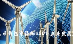 如何在火币钱包中添加USDT：未来发展