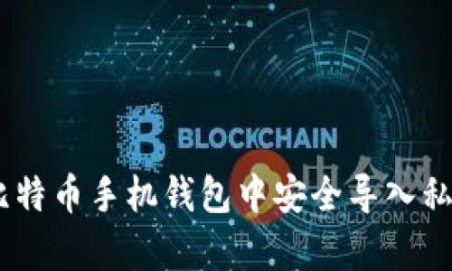 全面解析:如何在比特币手机钱包中安全导入私钥的未来发展趋势