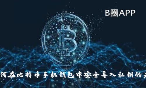 全面解析:如何在比特币手机钱包中安全导入私钥的未来发展趋势