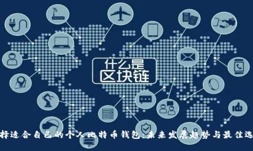 选择适合自己的个人比特币钱包：未来发展趋势与最佳选择