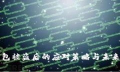 以太坊钱包被盗后的应对策略与未来安