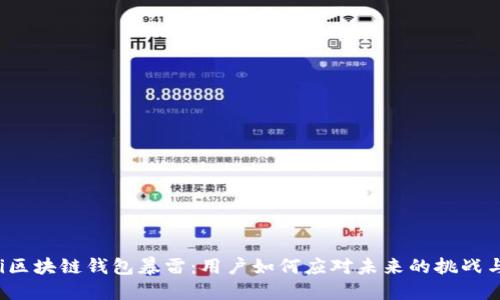 bialti区块链钱包暴雷：用户如何应对未来的挑战与机遇