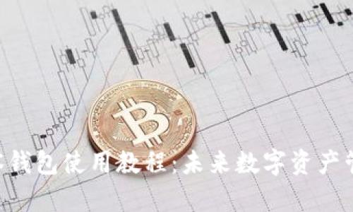 Tokenim观察钱包使用教程：未来数字资产管理的新趋势