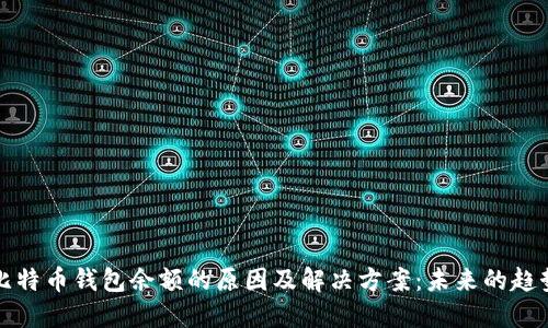 看不到比特币钱包余额的原因及解决方案:未来的趋势与发展