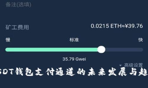 USDT钱包支付通道的未来发展与趋势